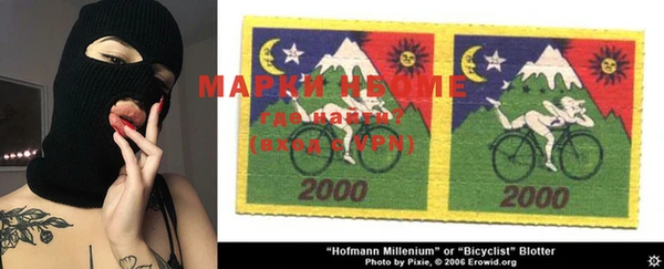 индика Хадыженск