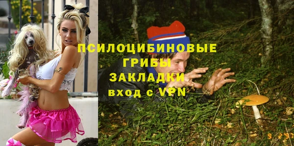 Альфа ПВП Фурманов